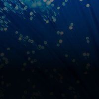 Forta (@fortaprotocol) 's Twitter Profile
