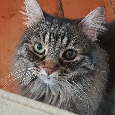 updating profile