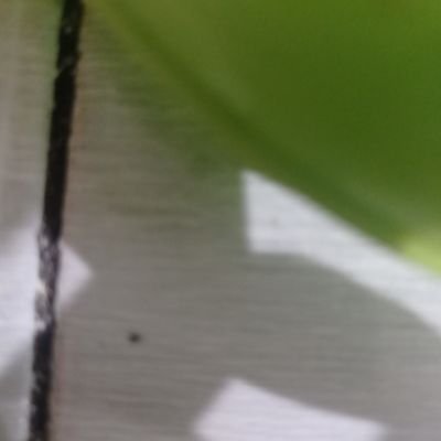 hexcore0293839's profile picture. Hidup