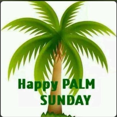 SinaMoses4's profile picture. 