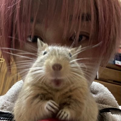 ▶︎▷バンド▶︎▷Dr.DOWNER🎸WEED WITCHES🥁▶︎▷LOVE▶︎▷🐁👟☕️📚🍺▶︎▷褒められて伸びるタイプの器用貧乏。なにかあれば気軽にDMかメールください📲suicide.lazy.son@gmail.com
