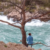 Wernouz (@werner_bchr) 's Twitter Profile