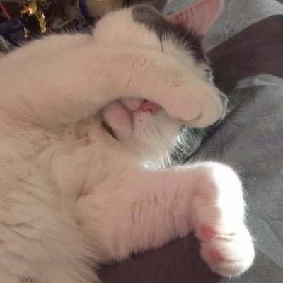 Hewtsyy's profile picture. ☕️