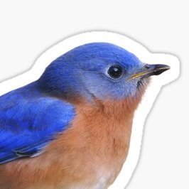 Mochiさんのプロフィール画像