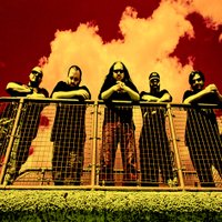 Mage (@mageband) 's Twitter Profile