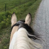 Carma72 (@carinamattsson8) 's Twitter Profile Photo Carma72 (@carinamattsson8) 's Twitter Profile Photo