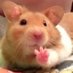 ชิชิน (@chxnso_) Twitter profile photo ชิชิน (@chxnso_) Twitter profile photo