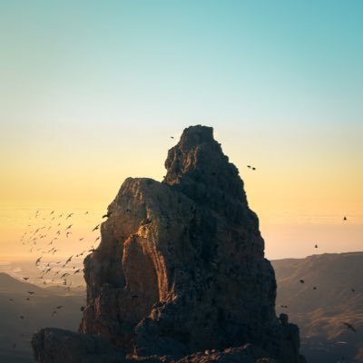 Rao2Nico's profile picture. 以梦为马，诗酒趁年华