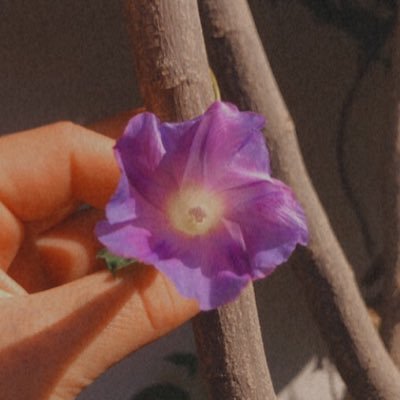 LSAlanhill's profile picture. he/him ~ sport ~ cars ~ single ~ 14