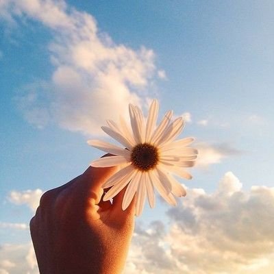 ha_ga_10's profile picture. 