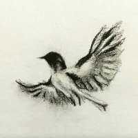 بدر الماردي (@almaardi) Twitter profile photo