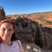 Michele Weaver (@michelecweaver) 's Twitter Profile