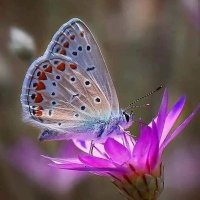 mejan (@mdmejan16571040) 's Twitter Profile
