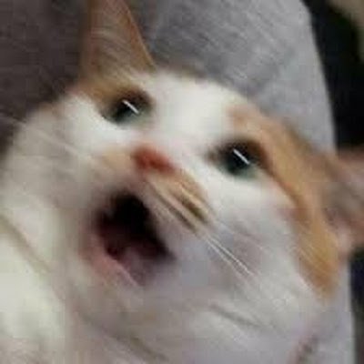 nitrobot19's profile picture. 