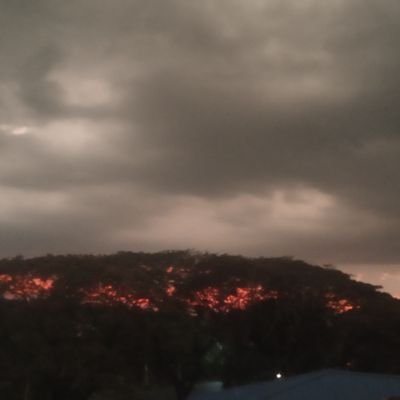 Jayapra37702186's profile picture. I am working in tourism field.