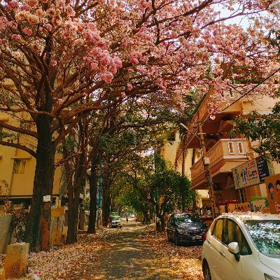 SakithiyaP's profile picture.