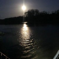 WillyamT π (@willyam_t) 's Twitter Profile
