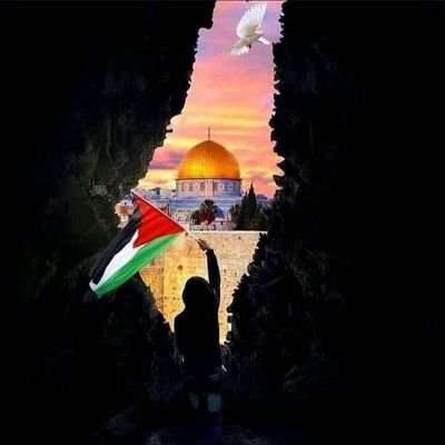 نحن مع حقوق المرأه & ونشر المحبه والسلام بين الشعوب