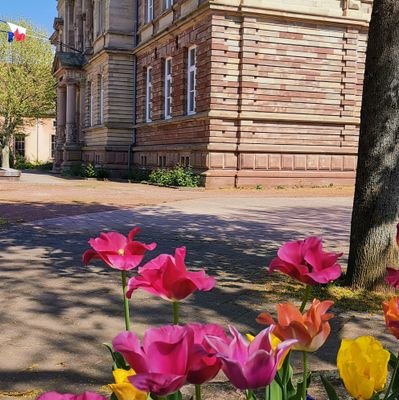 Fil d'information du lycée Adrien Zeller tout particulièrement destiné aux élèves - Bouxwiller - Académie de Strasbourg