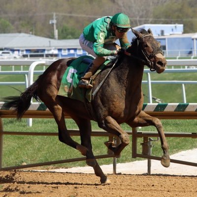 I’m a Professional Jockey from Uruguay, I’ve ridding horses in 🇺🇾🇺🇸🇨🇦🇦🇺 Winning Never Gets Old… #daInternationalJockey