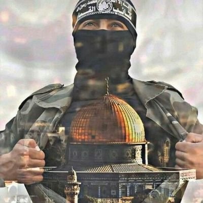 AlfarsyMndhr's profile picture. 