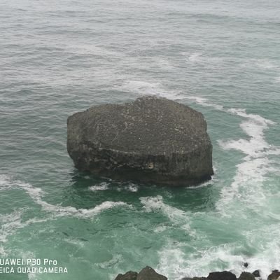 SAID76704954's profile picture. 