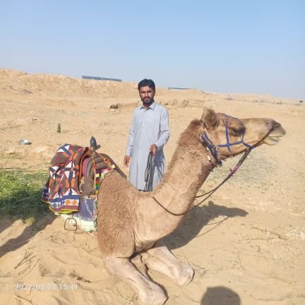 GreenSaaz's profile picture. 