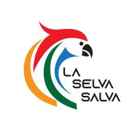 LA SELVA SALVA(@laselvasalva) 's Twitter Profileg