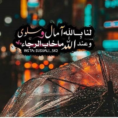 wrdalbnfsj15's profile picture. 