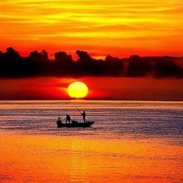 YaylaBayram's profile picture. 