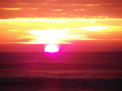 LynGras's profile picture. 