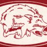 khenderson8711's profile picture. lifetime hog fan but still optimistic. no foul ball or bad Auburn call can get me down.