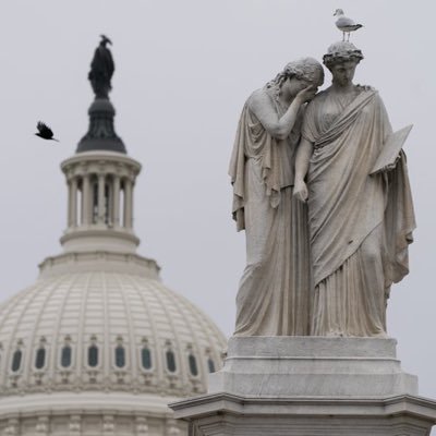 LuciusV98546374's profile picture. ‘The belief that the rights of man do not come from the generosity of the state but from the hand of God.’ -JFK Inaugural