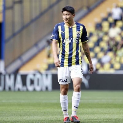 職業足球運動員 @fenerbahce