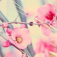 ๐๐ช๐จ๐๐ฃ๐๐๐๐บโ๐ฆ๐ฆ๐ซถโฎโค (@susanveinte) 's Twitter Profile