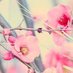 𝙎𝙪𝙨𝙖𝙣💛💙💖🌺♎🦋🦄🫶☮❤ (@susanveinte) Twitter profile photo 𝙎𝙪𝙨𝙖𝙣💛💙💖🌺♎🦋🦄🫶☮❤ (@susanveinte) Twitter profile photo