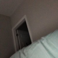 Cindy Shields (@cindysh04079249) 's Twitter Profile