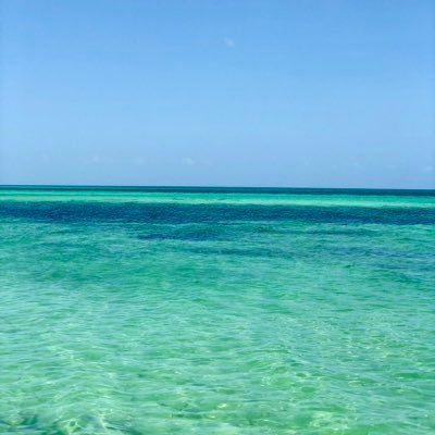 DestinyMccall's profile picture. 