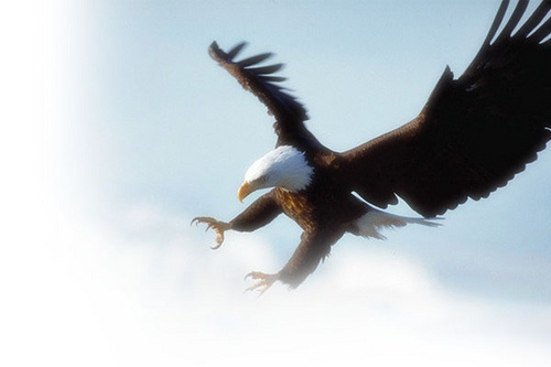 wjdruf12's profile picture. 착함/의로움/정직/성실/온전함/사랑 이런 단어들을 사랑함.
아마도 제가 추구하고 싶은 것이겠지용.  저는 세상이 이런 가치들을 귀하게 여겼으면 좋겠습니다.