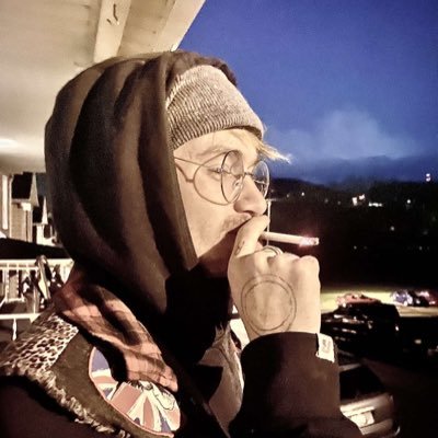 wildwolf3541's profile picture. 