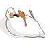 Poootato (@umeowking_catm) Twitter profile photo Poootato (@umeowking_catm) Twitter profile photo