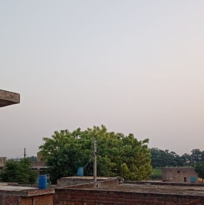 ZamirStallion's profile picture. Zamir Stallion