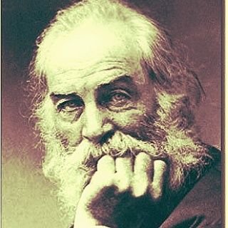 Jose14255041's profile picture. 