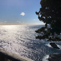 KAITO 走耳又口未土后 (@ozjsw) 's Twitter Profile