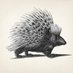 Porcupine New Orleans (@porcupinenola) Twitter profile photo Porcupine New Orleans (@porcupinenola) Twitter profile photo