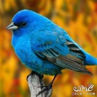 دره العطواني (@drhaltwany) Twitter profile photo