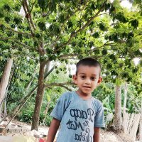 AbdullahADD "🐉 $MON" (@mdnayonbd05) 's Twitter Profile