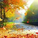 Patty Jordan - @PattyJo44673543 - Twitter