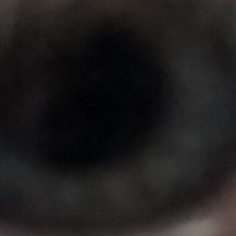 noonespecialcd's profile picture.