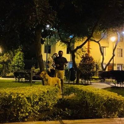 damo0506's profile picture. Chiclayano Ingeniero de Sistemas, Desarrollador WEB y MOVIL. “Semper fi, Arriba Alianza toda la vida.”